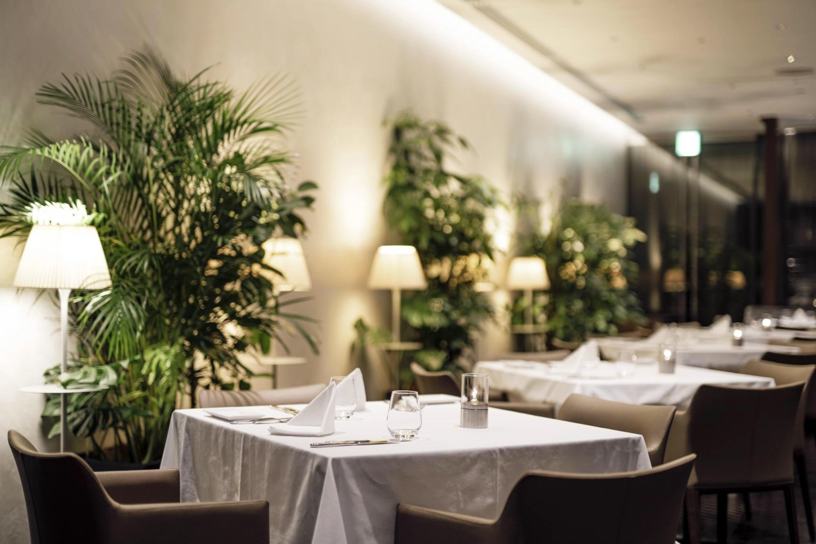 梅田　プロポーズ　XEX WEST