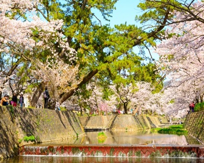 garden天王寺春のサプライズプロポーズスポット⑥