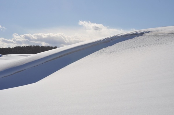 雪の鳥取砂丘