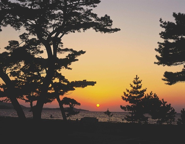 慶野松原（プロポーズ街道）