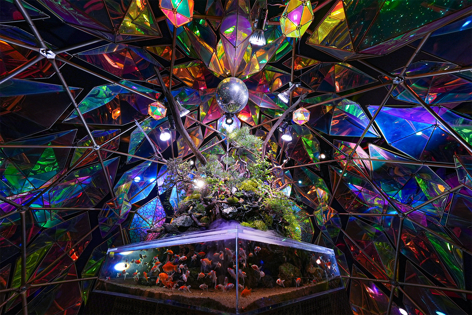 奈良のおすすめプロポーズスポット　金魚ミュージアム2