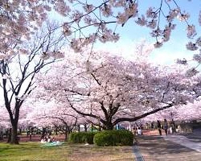 garden天王寺春のプロポーズスポット④