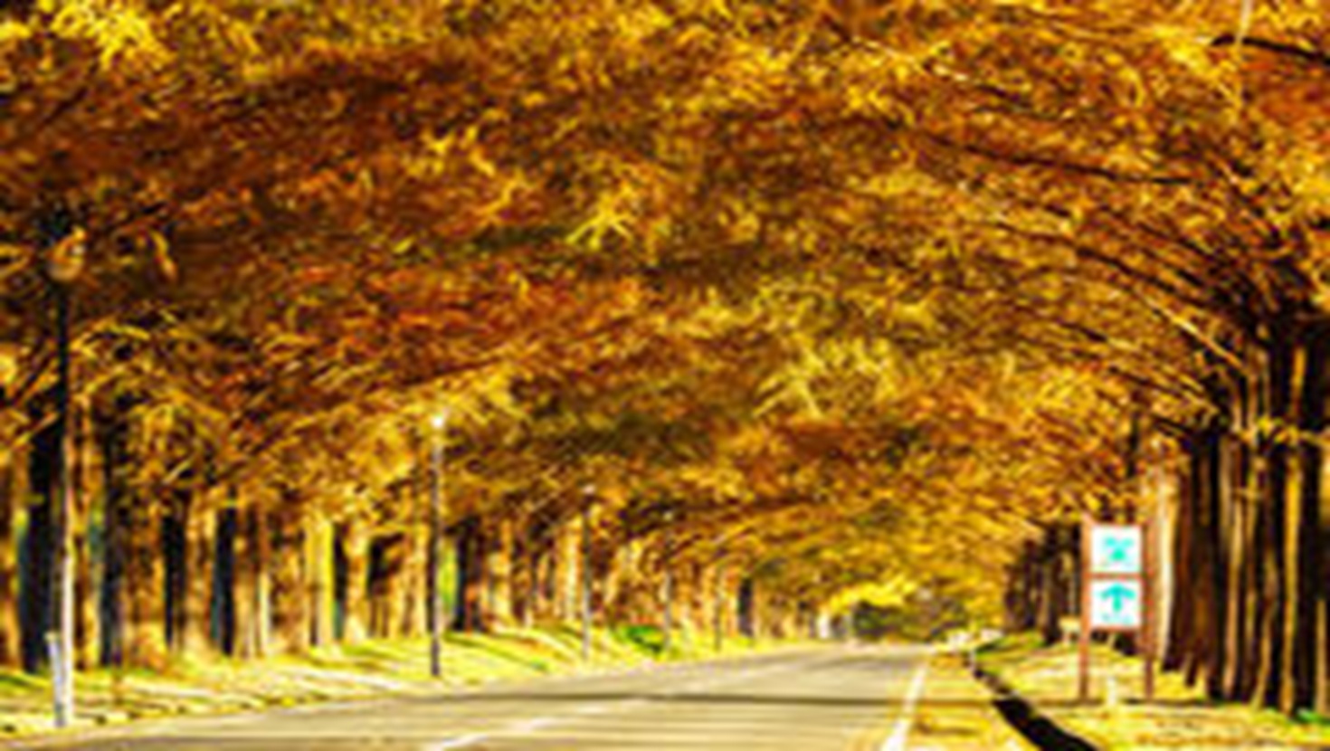 garden天王寺滋賀県でプロポーズ⑦