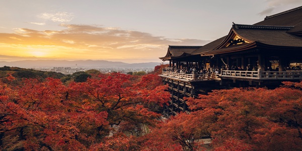秋　プロポーズ　大阪天王寺　京都府