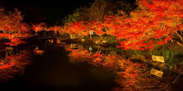 秋　プロポーズ　大阪天王寺　三重県