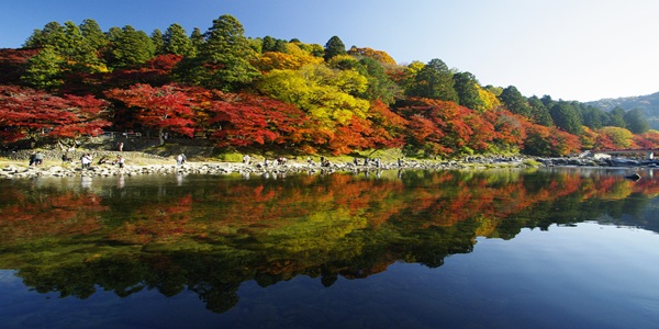 秋　プロポーズ　大阪天王寺　愛知県