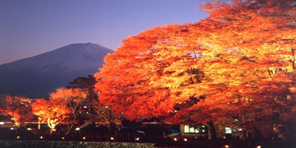 秋　プロポーズ　大阪天王寺　山梨県