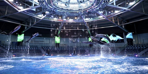 大阪　天王寺　プロポーズ　水族館　全国