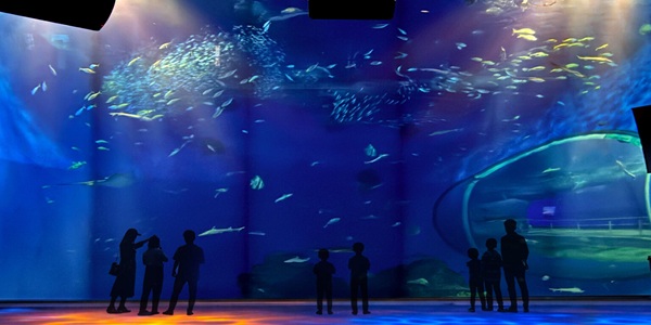 大阪　天王寺　プロポーズ　水族館　全国