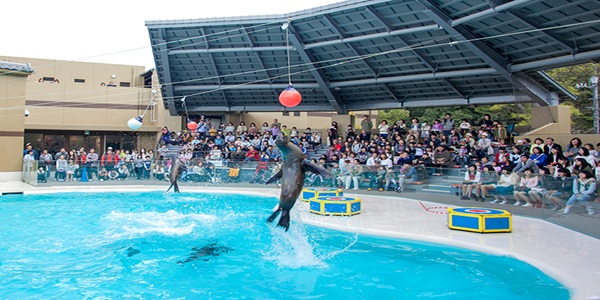 大阪　天王寺　プロポーズ　水族館　全国