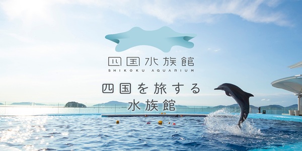 大阪　天王寺　プロポーズ　水族館　全国
