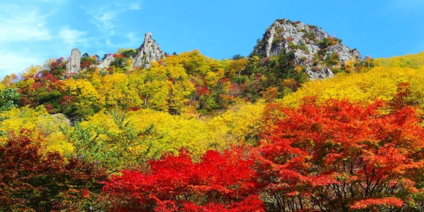 秋　プロポーズ　大阪天王寺　北海道