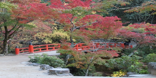 秋　プロポーズ　大阪天王寺　広島県