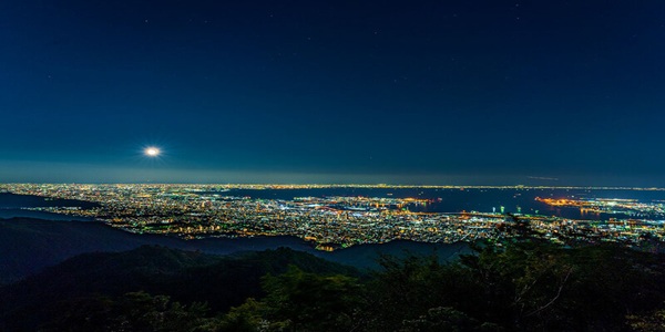 秋　プロポーズ　大阪天王寺　兵庫県