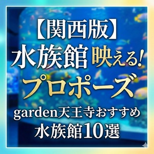 大阪　天王寺　プロポーズ　水族館　関西