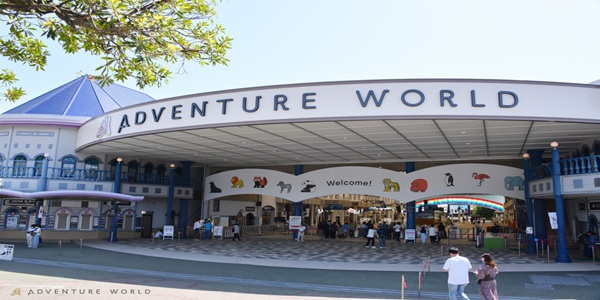 関西　水族館　プロポーズ　婚約指輪　エンゲージリング　大阪　天王寺