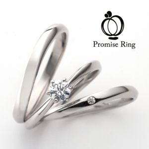 Promise of U&I