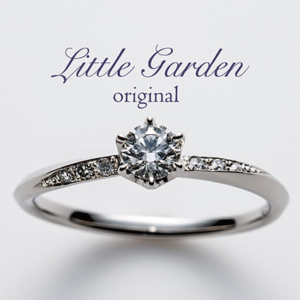 littlegardenのGERBERA～ガーベラ～