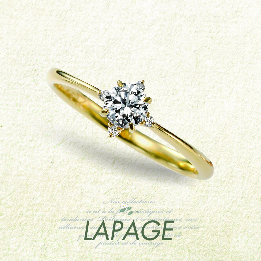 Croix du Sud 南十字星