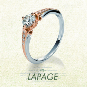 Pont-Neuf ポン・ヌフ