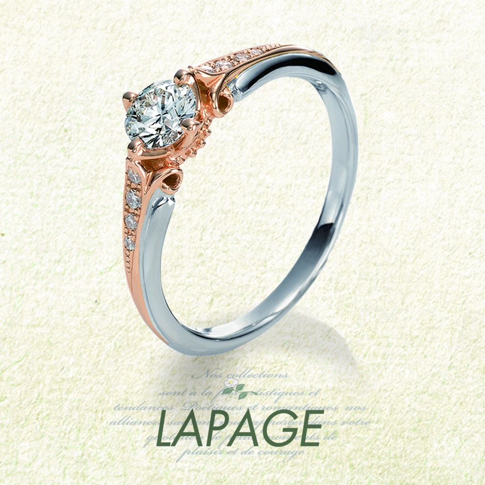 Pont-Neuf ポン・ヌフ