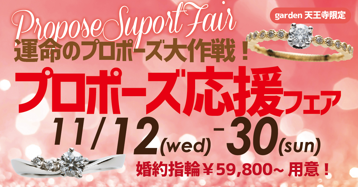 運命のプロポーズ大作戦!プロポーズ応援フェア 11/12~11/30
