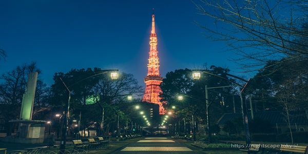 全国 夜景 プロポーズ 大阪 天王寺