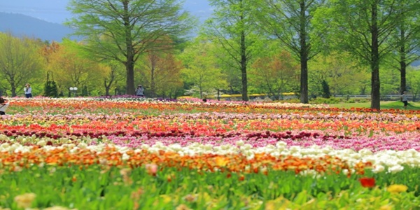 garden天王寺テーマパークでプロポーズ②