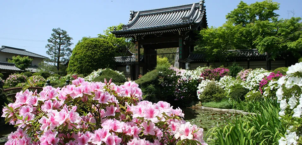 お花畑 プロポーズ スポット 京都
