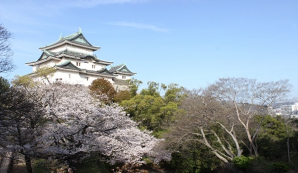 garden天王寺プロポーズスポット和歌山城