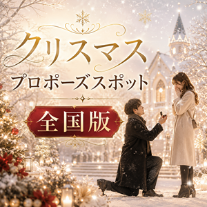 クリスマス　プロポーズスポット　全国