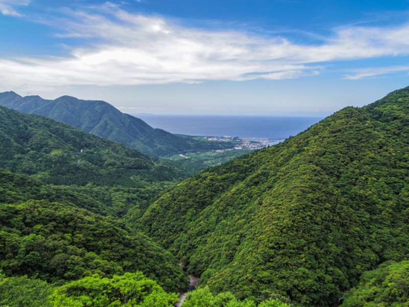 garden天王寺　国内ハネムーン　屋久島