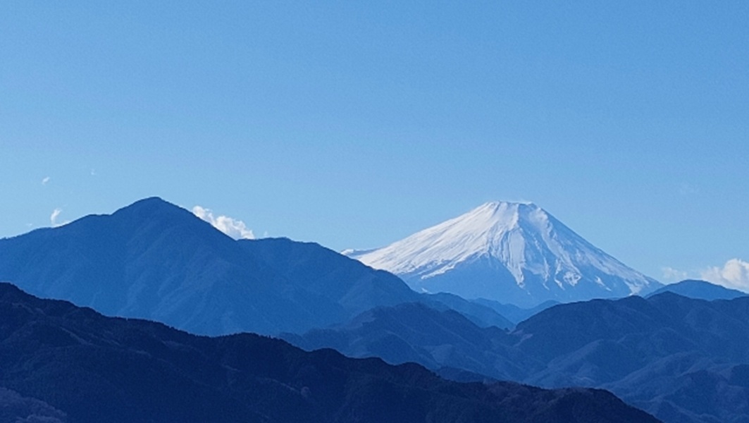 garden天王寺　山頂　プロポーズ　高尾山