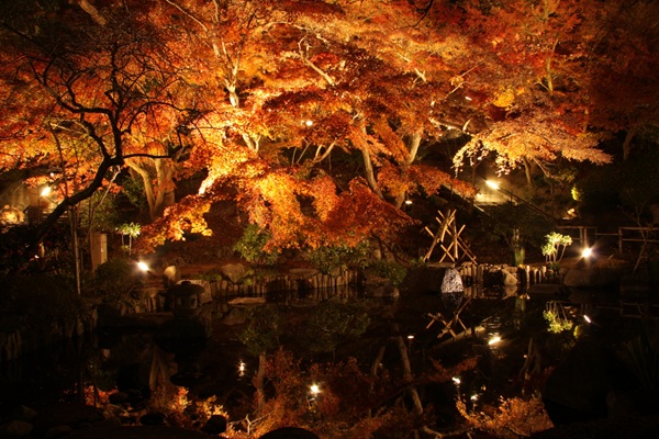 紅葉 プロポーズスポット 関西
婚約指輪 garden天王寺