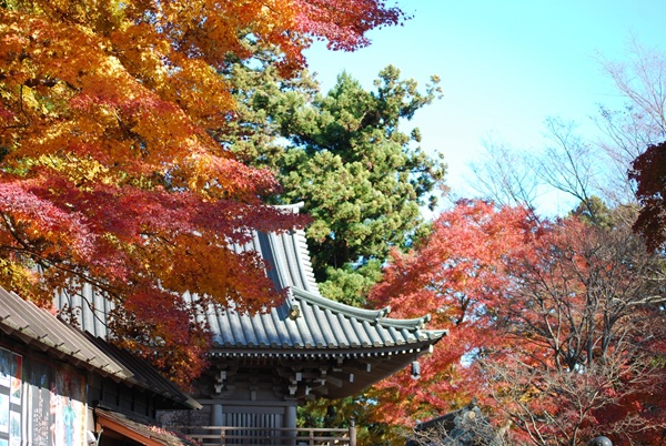 全国　紅葉　プロポーズ　スポット　garden天王寺