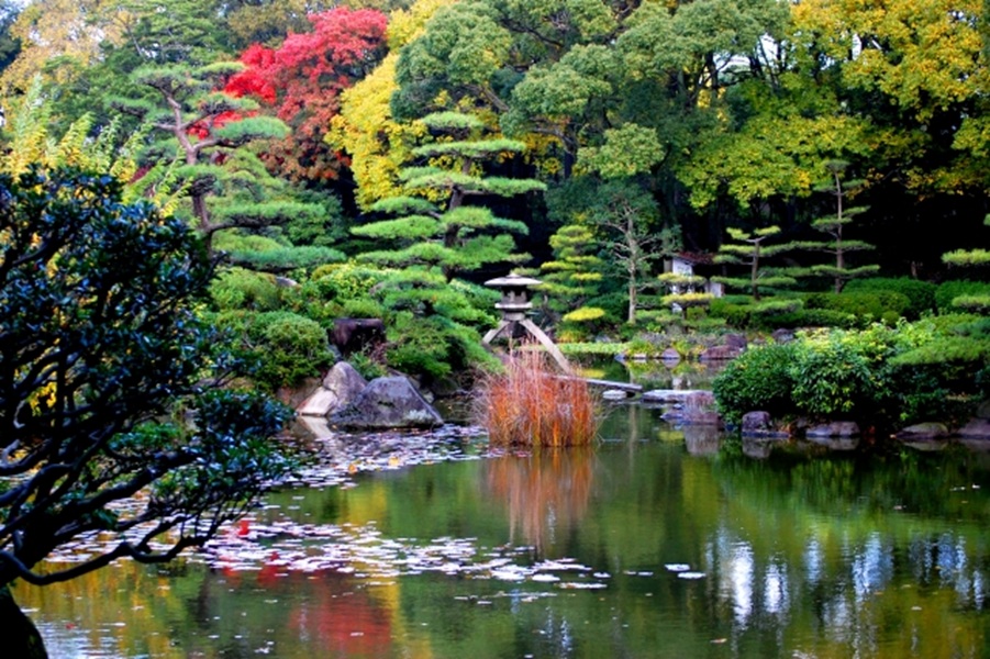 天王寺 フォトウエディング 慶沢園