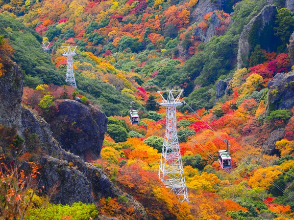 全国　紅葉　プロポーズ　スポット　garden天王寺