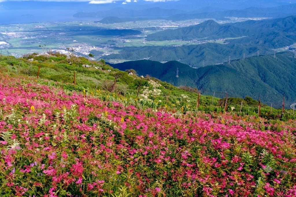 garden天王寺　プロポーズ　山頂　伊吹山