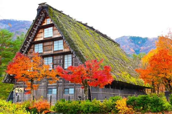 全国　紅葉　プロポーズ　スポット　garden天王寺