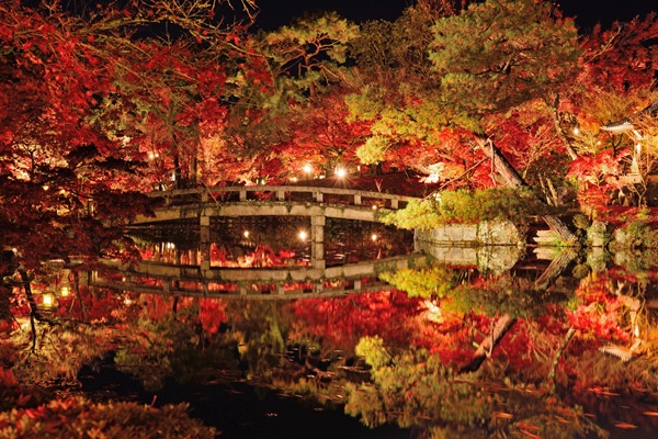 全国 紅葉 プロポーズ スポット garden天王寺