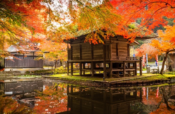 全国　紅葉　プロポーズ　スポット　garden天王寺