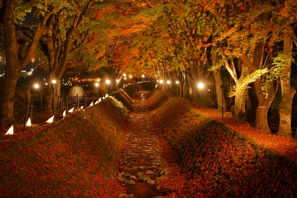 全国　紅葉　プロポーズ　スポット　garden天王寺