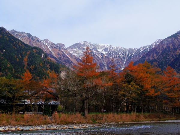 全国　紅葉　プロポーズ　スポット　garden天王寺