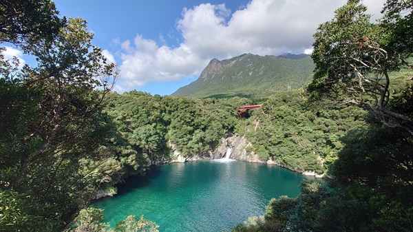 屋久島　プロポーズ　スポット　婚約指輪　エンゲージリング　garden天王寺