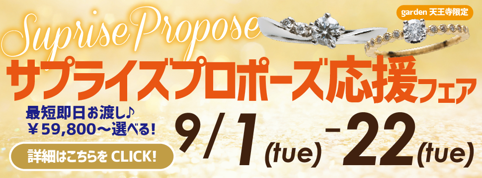 【最短即日お渡し】￥59,800~選べるサプライズプロポーズ応援フェア