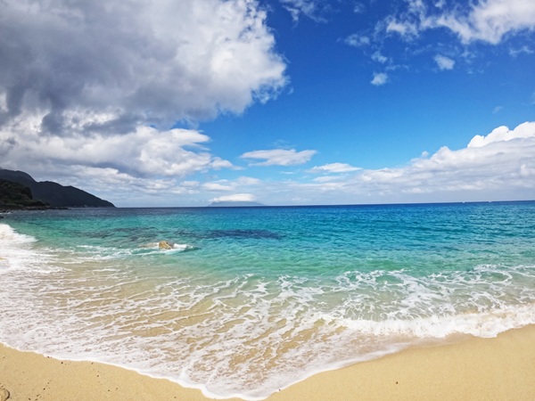 屋久島　プロポーズ　スポット　婚約指輪　エンゲージリング　garden天王寺